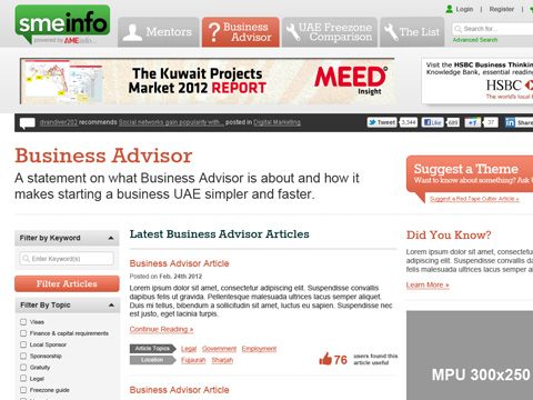 SMEinfo - Business Advisor Landing Page
